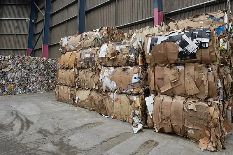 Empresa de reciclagem de papelão
